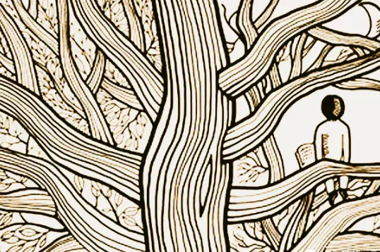 教育一定要做到“敬畏规律”