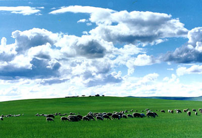 内蒙古 环保母基金.jpg