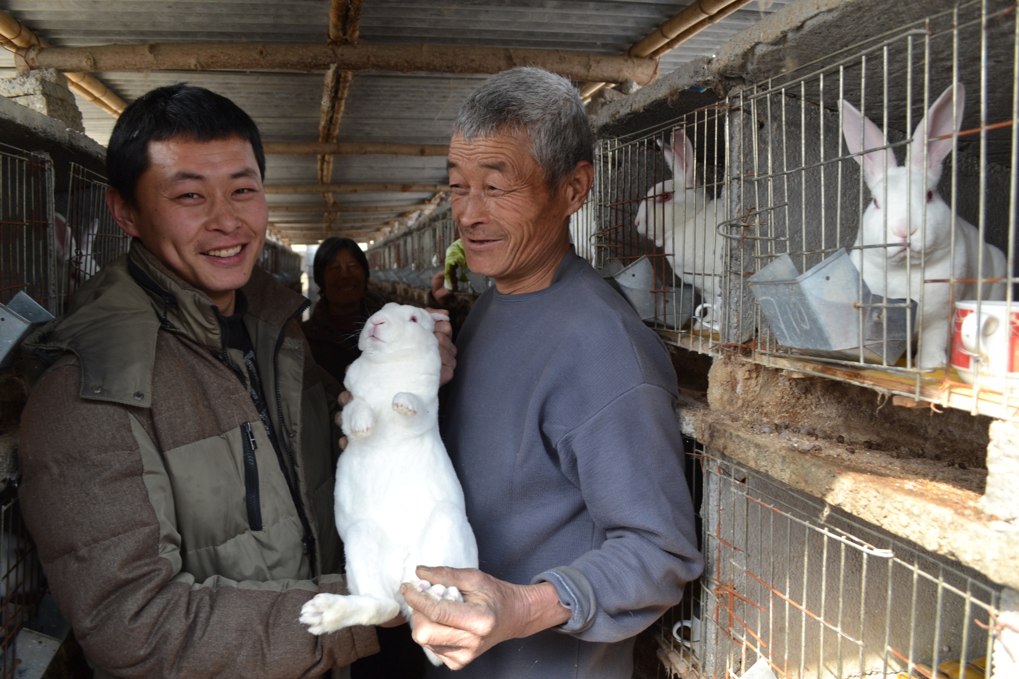 1456298676188999.jpg 1456298676188999.jpg