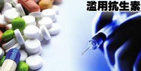 1456995186632216.jpg 1456995186632216.jpg