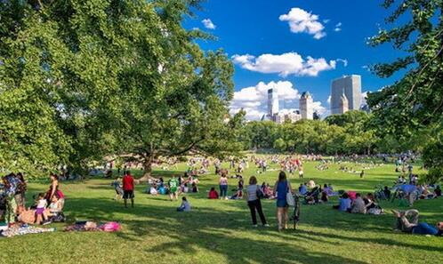 1458021270221833.jpg 101.jpg