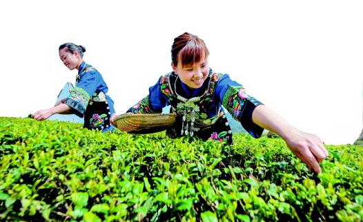 1459827980806053.jpg QQ截图20160405114526.jpg