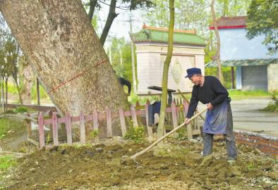 1460471613499379.jpg 128886403_14604246279871n.jpg