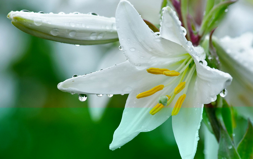 1460970266484654.png 1460970266484654.png