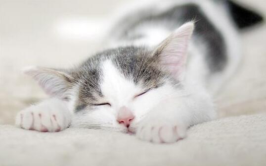 1461641213377416.jpg QQ截图20160426112658.jpg