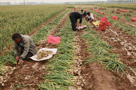 1462757831929133.jpg 01.JPG