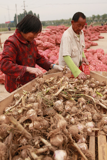 1462757848755850.jpg 2.JPG