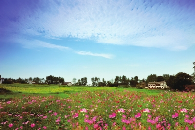 1463029307986732.jpg p55_b.jpg