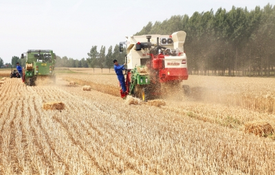 1463636469301521.jpg p73_b.jpg