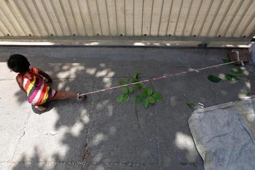 一岁婴儿被绑街头 40度高温拴在石头上9个钟头