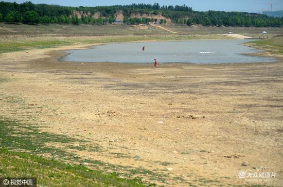 水库无水下泄，下游河道变池塘（图片作者:御宁/视觉中国）