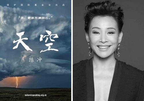 1464068214292500.jpg 11284516-500.jpg