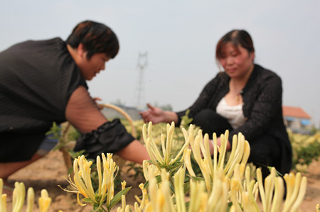 1464576016769517.jpg IMG_3594.JPG