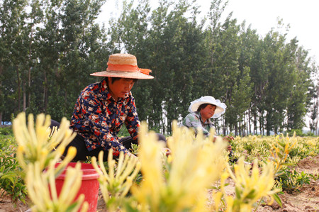 1464576022942901.jpg IMG_3605.JPG