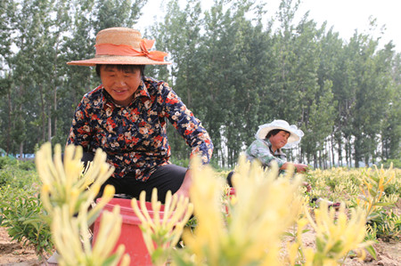 1464576027127034.jpg IMG_3608.JPG