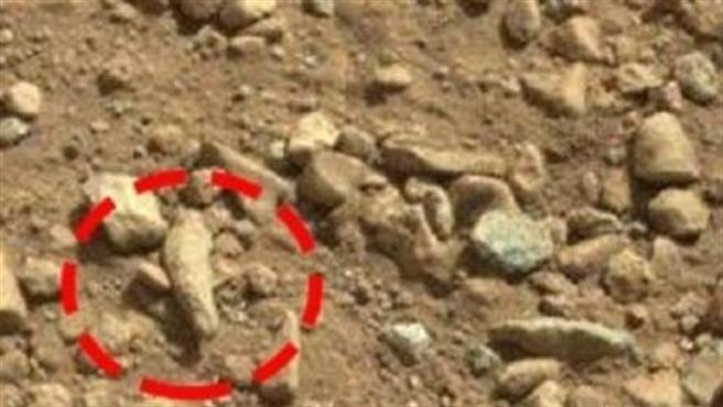 4、火星人手指。