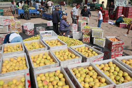 1465175867942527.jpg IMG_4003.JPG