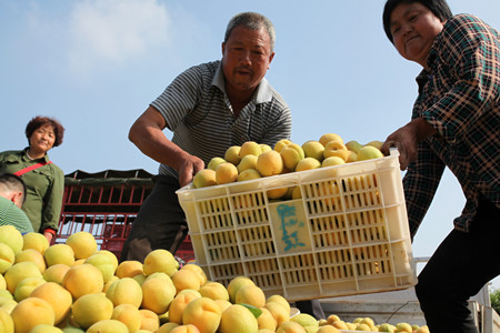 1465175876781358.jpg IMG_4013.JPG