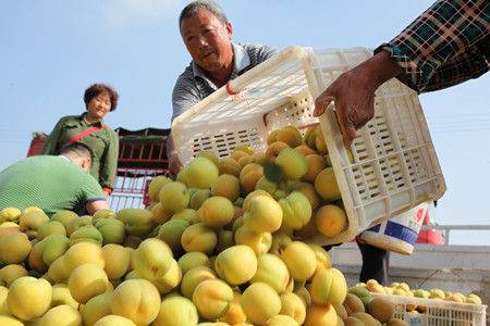 1465175883522214.jpg IMG_4014.JPG