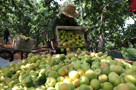 1465175889966409.jpg IMG_4031.JPG