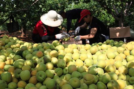 1465175898924717.jpg IMG_4072.JPG