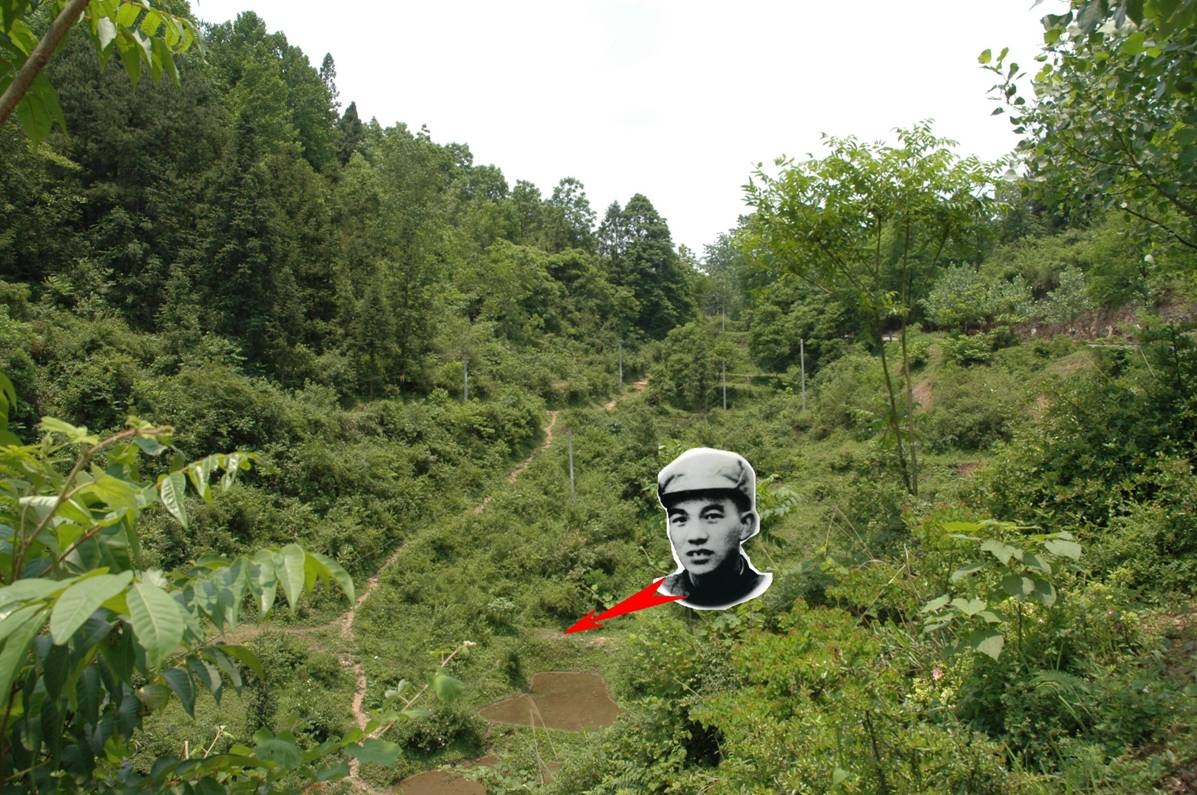 1465271201110681.jpg 1465271201110681.jpg