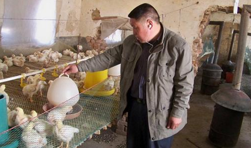 1465822566207739.png 1.png