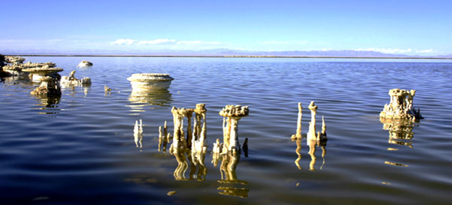 1465984522354224.png 1465984522354224.png