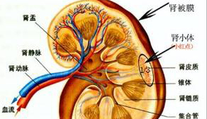 1466320086653794.jpg litpic_1435894873.jpg