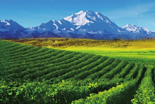 1466822604738347.jpg 6.jpg