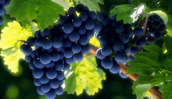 1466822657562103.jpg 9.jpg