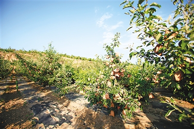 1467629772937600.jpg rmrbhwb2016070404p46_b.jpg