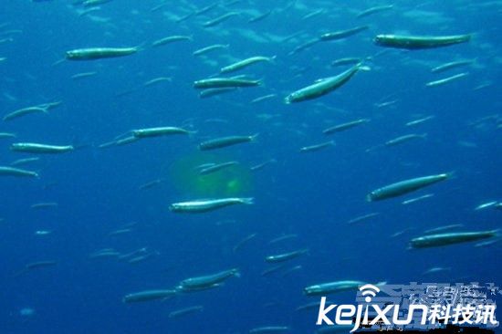 最令人惊奇的九大科学发现：平行宇宙已经被证实可以存在！