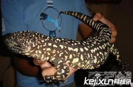 最令人惊奇的九大科学发现：平行宇宙已经被证实可以存在！