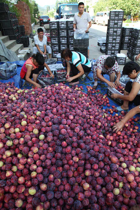 1470160332632397.jpg IMG_1119.JPG