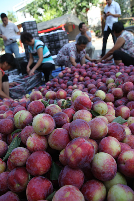 1470160341230083.jpg IMG_1127_副本.jpg