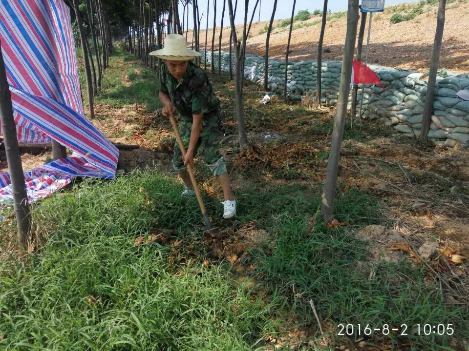 1470392512861616.jpg 1470392512861616.jpg