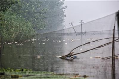 1471562363656203.jpg 137613141.jpg