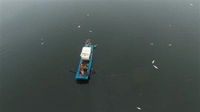 1471562379780473.jpg 137613140.jpg