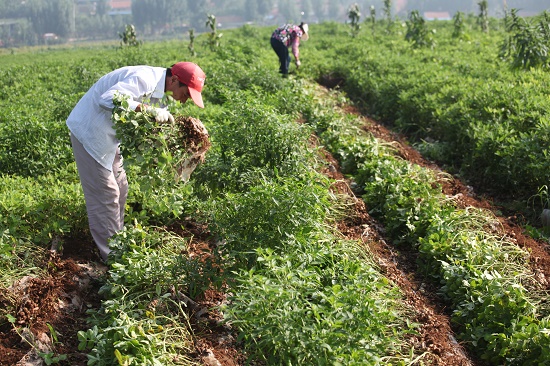 1472018008739556.jpg 111111.jpg