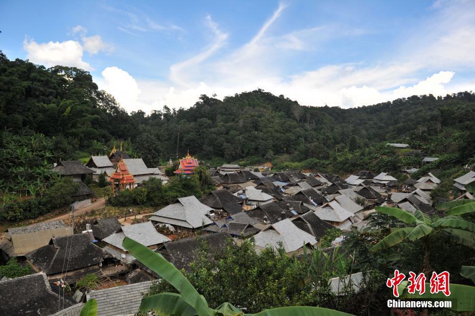 9月16日，云南澜沧景迈山上的少数民族村寨。云南澜沧景迈山，是普洱茶的主要产区之一，山上居住着拉祜族、布朗族、傣族等多个少数民族，这些少数民族世代制茶，景迈山得天独厚的自然环境和茶人们精湛的手艺使这里的普洱茶远近闻名。据景迈山翁基村布朗族村民介绍，他们的家庭年收入达到40万元左右，这在当地属于中等收入水平。据公开资料显示，景迈山的少数民族种茶有近2000年的历史。是普洱茶的原生地之一。 中新社记者 任东 摄