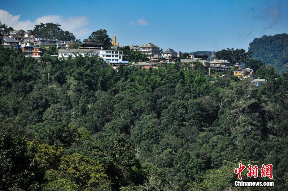 9月16日，云南澜沧景迈山上的少数民族村寨。云南澜沧景迈山，是普洱茶的主要产区之一，山上居住着拉祜族、布朗族、傣族等多个少数民族，这些少数民族世代制茶，景迈山得天独厚的自然环境和茶人们精湛的手艺使这里的普洱茶远近闻名。据景迈山翁基村布朗族村民介绍，他们的家庭年收入达到40万元左右，这在当地属于中等收入水平。据公开资料显示，景迈山的少数民族种茶有近2000年的历史。是普洱茶的原生地之一。 中新社记者 任东 摄