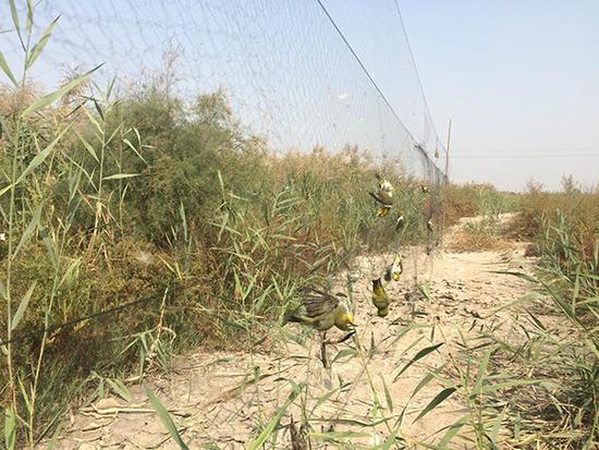 1475893729501470.jpg 03.jpg