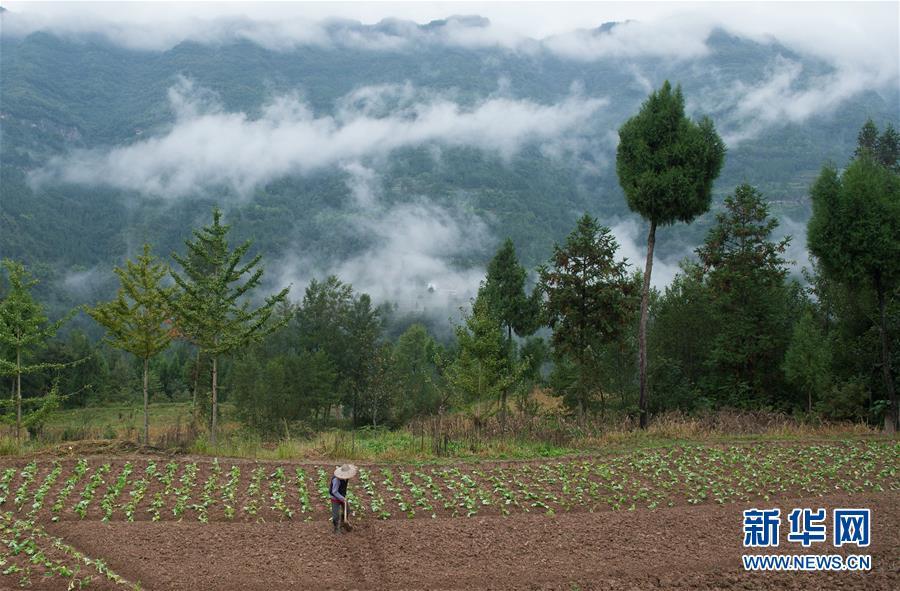 1000 (1).jpg 1000 (1).jpg