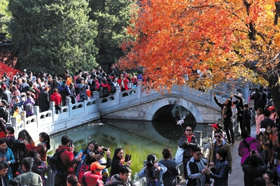 1119812977_14777824925651n (1).jpg