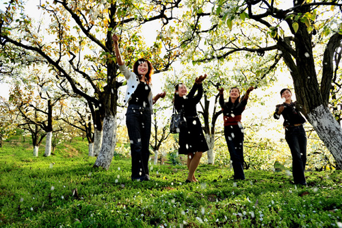 花海感春 李永杰摄.jpg