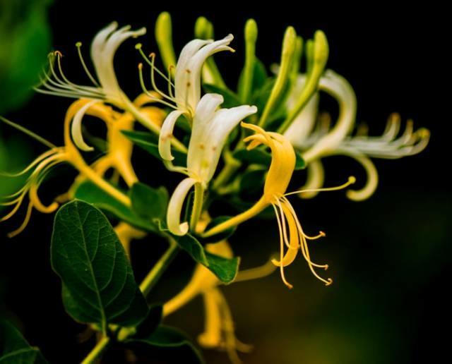 长期23点以后睡 小心这7个地方先坏!