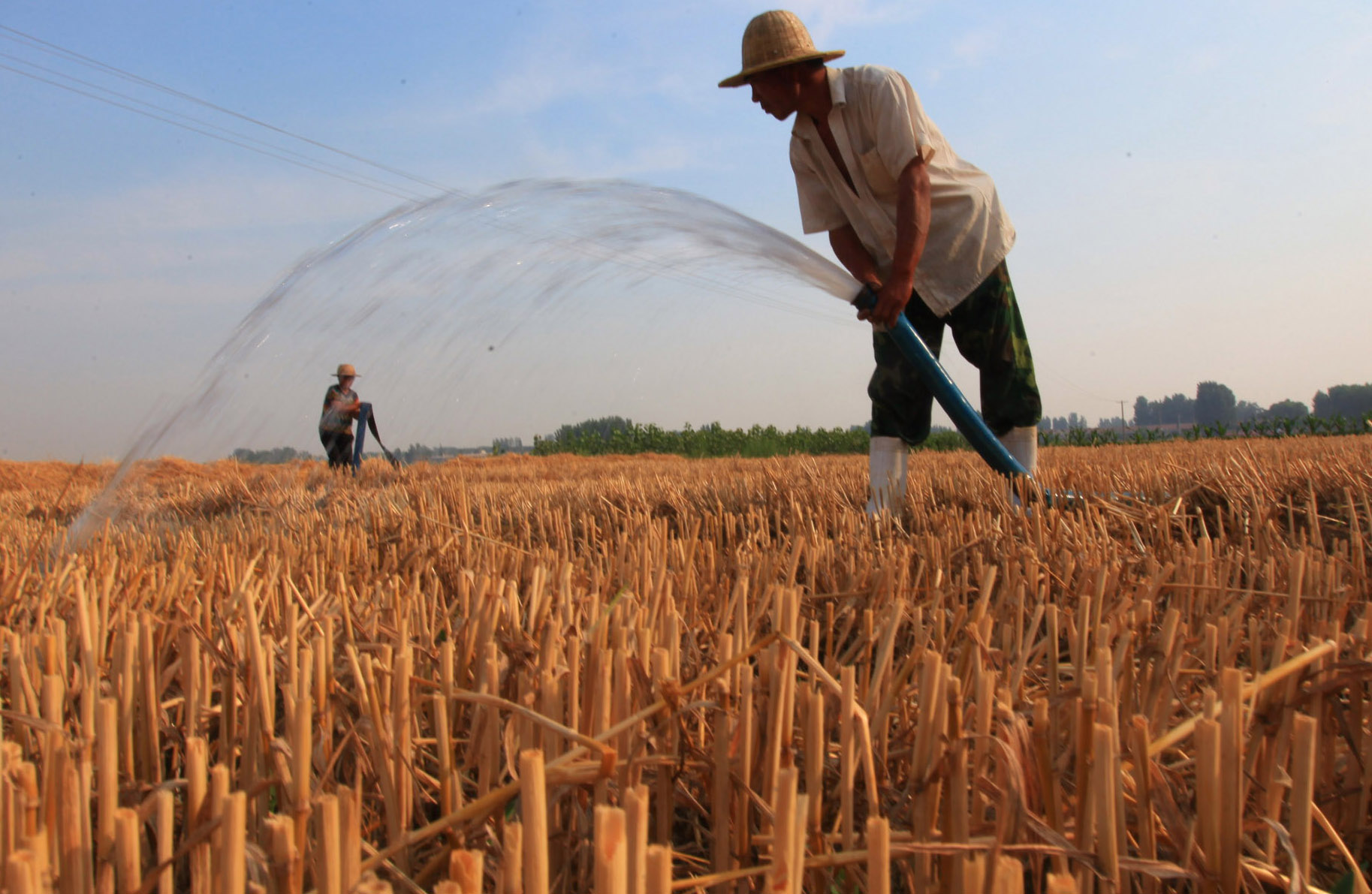 IMG_1187.JPG IMG_1187.JPG