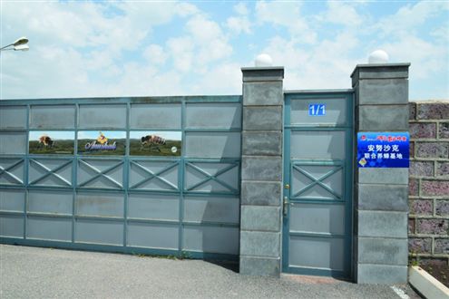 2 8.23 领物第一天现场报道&赛事服务70.jpg