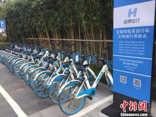 哈单车停放点。应新睿 摄